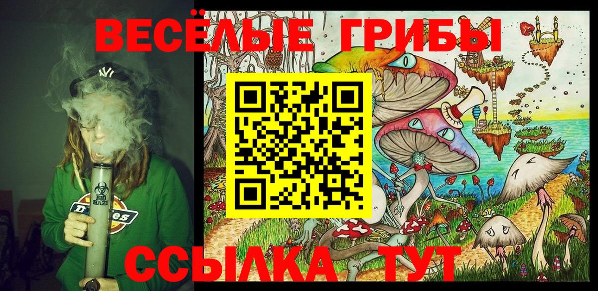 Псилоцибиновые грибы мицелий Топки